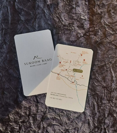 Standard Visiting Cards ( 600 GSM )